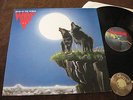 LP Wolf Edge of the World Belgium 1984 | M- to EX