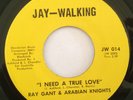 RAY GANT & THE ARABIAN KNIGHTS - I NEED A TRUE LOVE - DONT LEAVE ME - LISTEN