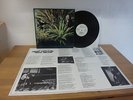 Jim Pembroke Corporal Cauliflowers Mental Function Wigwam Finnish Mint LP