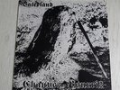 Chauves Pourris LP Rock-O-Rama RRR128 Oi