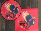 No RSD 2016  David Bowie Picture LP Mercury aus 2004  The Man Who Sold The World