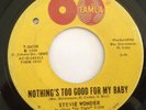 STEVIE WONDER - NOTHING TOO GOOD FOR MY BABY - WITH A CHILDS HEART - LISTEN