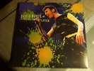 DAVID BOWIE - DUBLIN - LTD - 2LP - (F SLD)