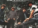 THE STANDELLS - THE HOT ONES - Tower Records ST5049 LP (1966)