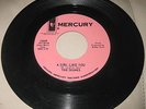 THE SKUNKS - A GIRL LIKE YOU / YOUTH QUAKE - MERCURY DEMO - VG++ RARE GARAGE POP