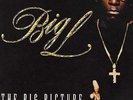 Big L - The Big Picture (1974 - 1999) '00 2xLP US ORG  DJ Premier Lord Finesse