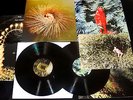 Peter Gabriel ?– OVO 2X LP VINYL record secret Limited Edition