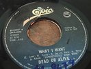 Dead or Alive 45 rpm Philippines 7