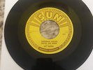 ray harris green back dollar 100% sun 272 with delta mark (triangle on dead wax)