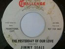 Jimmy Seals - The Yesterday Of Our Love 45 Challange rare soul promo