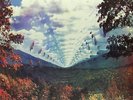 TAME IMPALA   INNERSPEAKER   VINYL LP   *NEW AND SEALED*