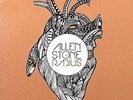 STONE,ALLEN-RADIUS (DLX)  VINYL LP NEW