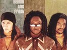 BLACK EYED PEAS, The - Behind The Front - Vinyl (2xLP)