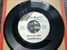 Queen of fools Barbara mills promo copy