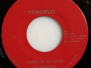 NM RARE OBSCURE MIAMI PUNK 45 / PRINCIPLES / USA 423 / DOWN ON MY LOVE / DOME