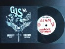 GISM Anarchy Violence 7