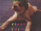 Frankie Cosmos - Zentropy (Vinyl LP - 2014 - US - Reissue)