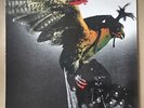 BUDGIE - IN FOR THE KILL - EX/EX - UK FIRST PRESSING - MCF-2546 A1/B1