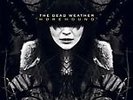 Horehound [LP] by Dead Weather (The) (Vinyl, Jul-2009, 2 Discs, Warner Bros....