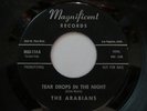 Arabians 45 on Magnificent Teardrops In the Night