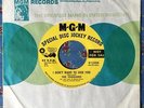 The Charades “I Don’t Want To Lose You” Rare MGM Northern Soul 45 mp3