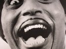 LITTLE RICHARD - Mono Box: The Complete Specialty & Vee Jay Albums - LP box