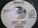 Rare Rock Instrumental W/Organ 45 : Fuzzface   Mighty Quinn   Dorset 68-3149