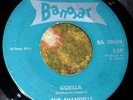 PRIVATE 1964 WI Garage Punk 45 - THE SHANDELLS 