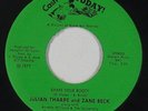 Funk Disco 45 - Julian Tharpe & Zane Beck - Shake Your Booty - Cash In Today VG+