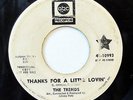 THE TRENDS-THANKS FOR A LITTLE LOVIN /I NEVER KNEW HOW GOOD I HAD IT - WLP ON AB