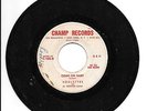 * ROULETTES I See A Star/Come On Baby DOO WOP  Champ Records 45