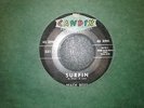 Beach Boys Surfin/Luau 45 on Candix 331 Surf Rare no ERA dist TRUE 1ST PRESS