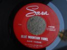1SZ SARA 63102 SURF GARAGE ROCK DAVE VASSAR MULESKINNERS NEW ORLEANS BLUE YODEL