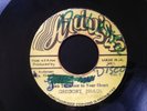 GREGORY ISSACS/OPEN THE DOOR TO YOUR HEART ANDY'S REGGAE 45