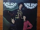 JIMI HENDRIX Are You Experienced LP 1967