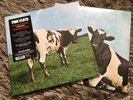 Pink Floyd - Atom Heart Mother - Sealed 180g Vinyl LP - Pink Floyd Records Label