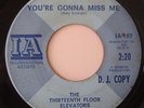 Thirteenth Floor Elevators-You're Gonna Miss Me/Tried-Rare TX Garage 45- DJ-HEAR