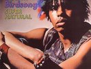 BIRDSONG, Edwin - Super Natural - Vinyl (LP)