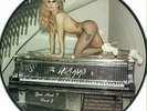 Lady Gaga ?– Yoü And I (Part 2)   PICTURE DISC RECORD