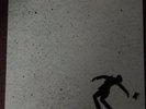 DJ SHADOW - THE SIDESHOW - LTD 12