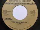 JUNEI, YOU MUST GO ON / LET'S RIDE, SUPER RARE ORIGINAL 45