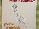 AGED IN HARMONY YOU'RE A MELODY LTD 3 7