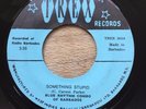 Blue Rhythm Combo - Something Stupid / Main Stream TREX B054 - Looks & Plays EX