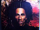 BOB MARLEY & THE WAILERS  NATTY DREAD RARE ORIG '74 ISLAND LP IN SHRINK STUNNING