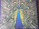 The Bluetones - Expecting to Fly 1996 Vinyl BLUELP 004