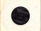 RIOT ROCKERS - TENNESSEE SATURDAY NIGHT (TEDDY BOY, 1978  RAW 11) FAST VERSION