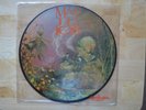 Marillion Europe Ltd. Picture Disc LP 