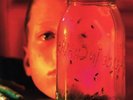 ALICE IN CHAINS   JAR OF FLIES/SAP   2 X 180gsm AUDIOPHILE ETCHED VINYL LP   NEW