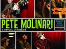 Pete Molinari – A Virtual Landslide – Vinyl-LP / new&sealed / last copy