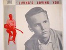 ROBIN LUKE PICTURE SLEEVE SUSIE DARLIN' BEAUTIFUL COPY